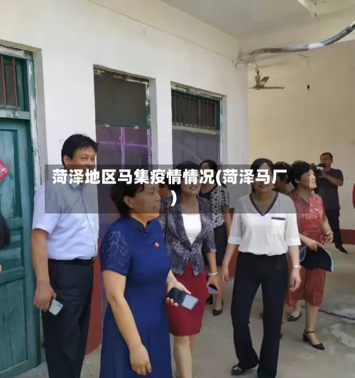 菏泽地区马集疫情情况(菏泽马厂)