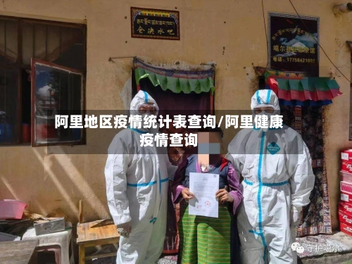 阿里地区疫情统计表查询/阿里健康疫情查询-第2张图片
