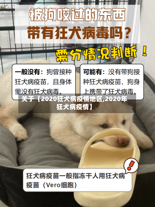 关于【2020狂犬病疫情地区,2020年狂犬病疫情】-第2张图片