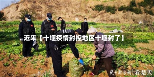 近来【十堰疫情封控地区十堰封了】-第2张图片