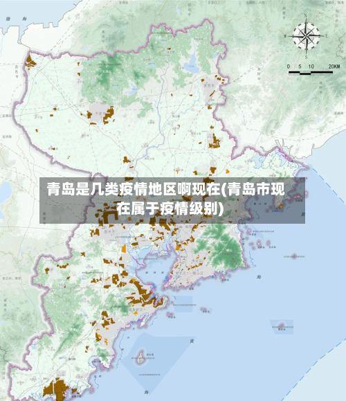青岛是几类疫情地区啊现在(青岛市现在属于疫情级别)-第2张图片