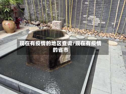 现在有疫情的地区查询/现在有疫情的省市