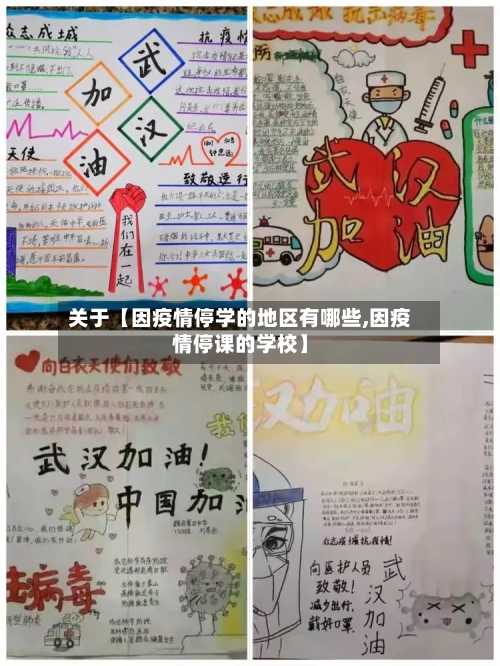 关于【因疫情停学的地区有哪些,因疫情停课的学校】-第2张图片