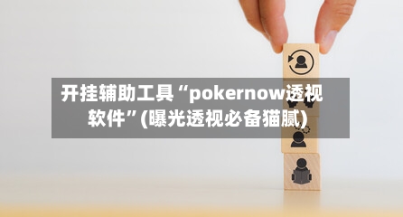 开挂辅助工具“pokernow透视软件”(曝光透视必备猫腻)-第3张图片