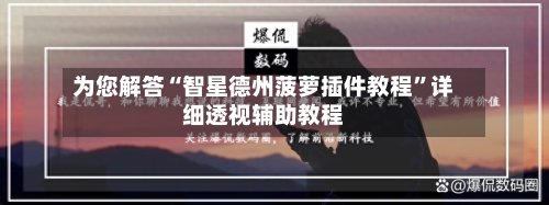 为您解答“智星德州菠萝插件教程”详细透视辅助教程