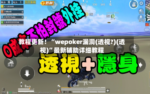 教程更新！“wepoker漏洞(透视?)(透视)”最新辅助详细教程-第2张图片