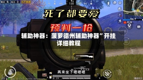 辅助神器：菠萝德州辅助神器”开挂详细教程-第3张图片