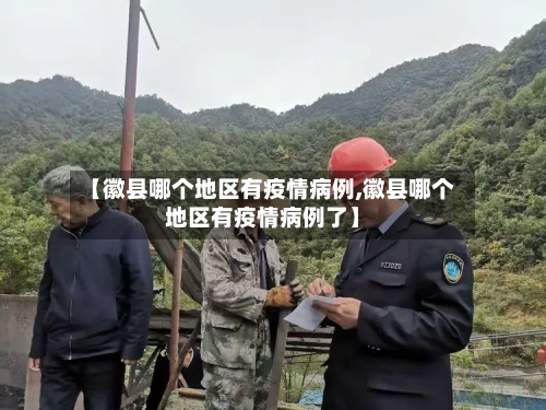 【徽县哪个地区有疫情病例,徽县哪个地区有疫情病例了】-第2张图片
