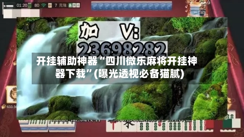 开挂辅助神器“四川微乐麻将开挂神器下载”(曝光透视必备猫腻)-第2张图片