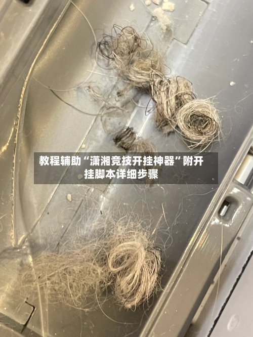 教程辅助“潇湘竞技开挂神器”附开挂脚本详细步骤-第2张图片