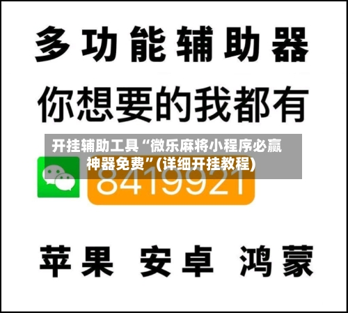 开挂辅助工具“微乐麻将小程序必赢神器免费”(详细开挂教程)-第2张图片