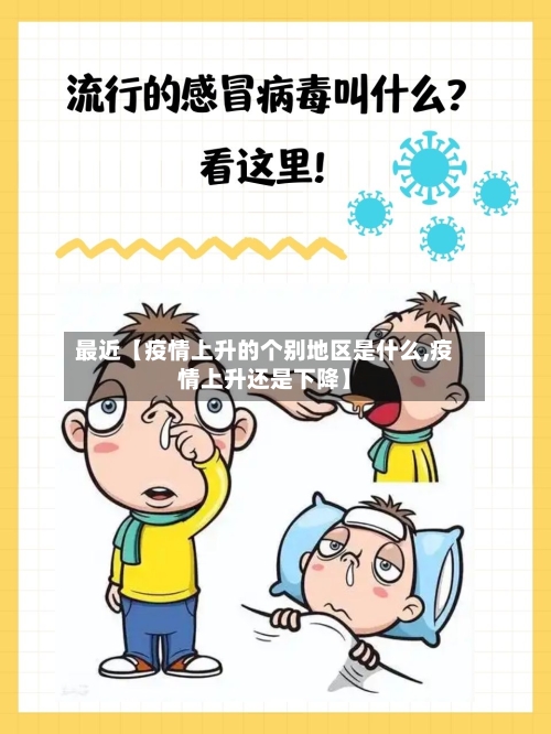 最近【疫情上升的个别地区是什么,疫情上升还是下降】-第2张图片