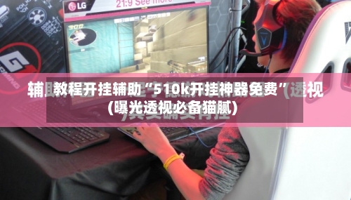 教程开挂辅助“510k开挂神器免费”(曝光透视必备猫腻)-第2张图片