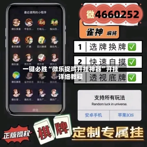 一键必胜“微乐捉鸡开挂神器”开挂详细教程