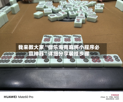 我来教大家“微乐海南麻将小程序必赢神器”详细分享装挂步骤-第3张图片