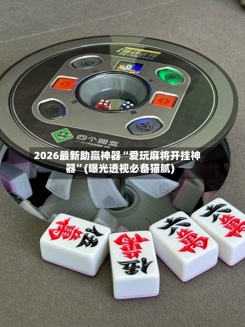2026最新助赢神器“爱玩麻将开挂神器”(曝光透视必备猫腻)