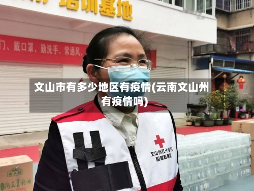 文山市有多少地区有疫情(云南文山州有疫情吗)