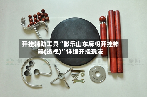 开挂辅助工具“微乐山东麻将开挂神器(透视)”详细开挂玩法-第2张图片