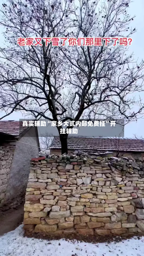 真实辅助“家乡大贰内部免费挂”开挂辅助-第2张图片