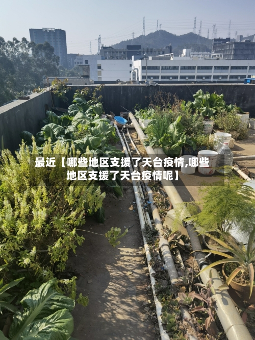 最近【哪些地区支援了天台疫情,哪些地区支援了天台疫情呢】
