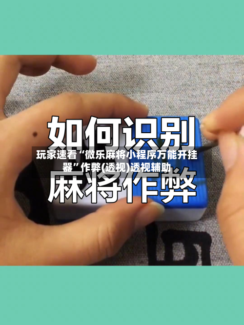 玩家速看“微乐麻将小程序万能开挂器”作弊(透视)透视辅助-第2张图片