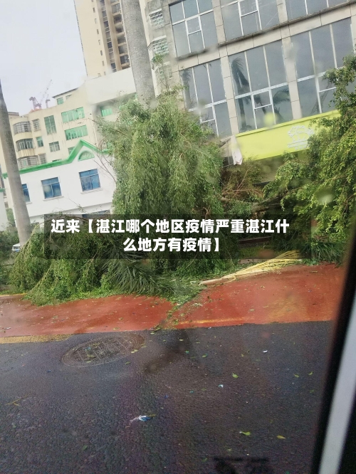 近来【湛江哪个地区疫情严重湛江什么地方有疫情】