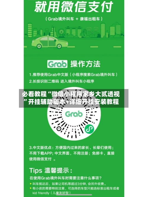 必看教程“微信小程序家乡大贰透视”开挂辅助脚本+详细开挂安装教程-第2张图片