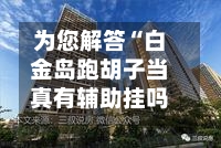 为您解答“白金岛跑胡子当真有辅助挂吗”详细开挂玩法