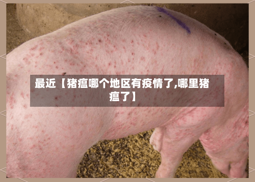 最近【猪瘟哪个地区有疫情了,哪里猪瘟了】-第3张图片