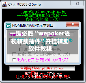 一键必胜“wepoker透视辅助插件”开挂辅助软件教程-第2张图片