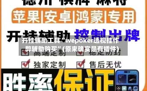 开挂辅助工具“wepoker透视挂作弊辅助购买”(原来确实是有插件)