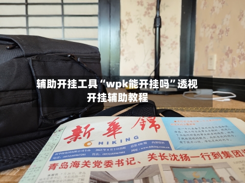 辅助开挂工具“wpk能开挂吗”透视开挂辅助教程-第2张图片
