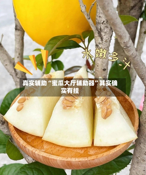 真实辅助“蜜瓜大厅辅助器”其实确实有挂-第2张图片