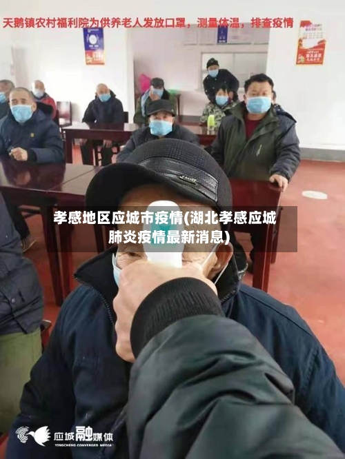 孝感地区应城市疫情(湖北孝感应城肺炎疫情最新消息)-第3张图片