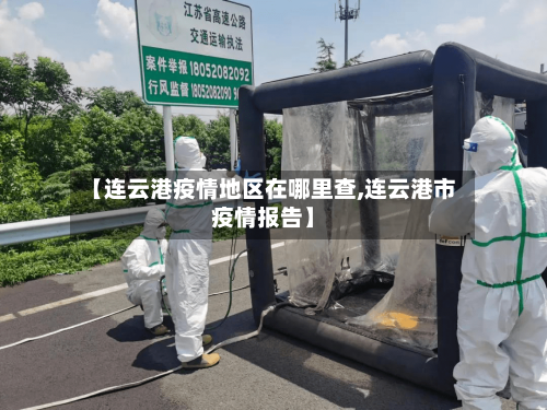【连云港疫情地区在哪里查,连云港市疫情报告】-第2张图片