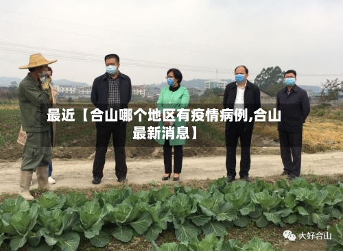 最近【合山哪个地区有疫情病例,合山最新消息】