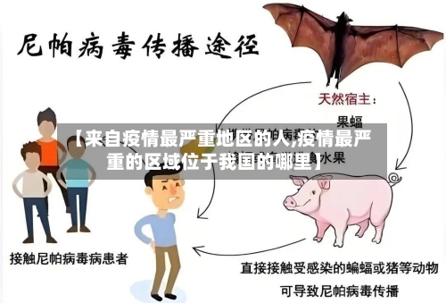 【来自疫情最严重地区的人,疫情最严重的区域位于我国的哪里】-第2张图片