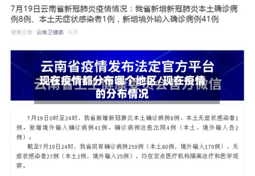 现在疫情都分布哪个地区/现在疫情的分布情况