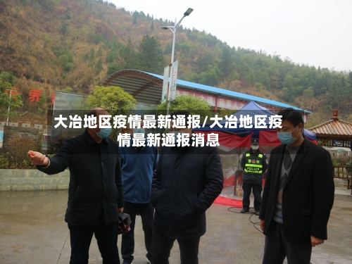 大冶地区疫情最新通报/大冶地区疫情最新通报消息-第2张图片