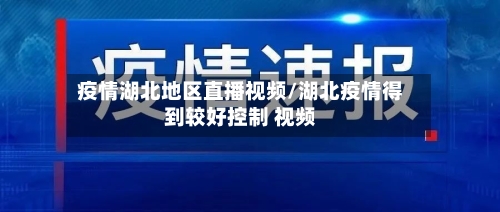 疫情湖北地区直播视频/湖北疫情得到较好控制 视频
