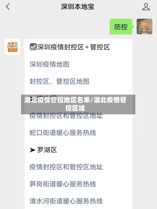 湖北疫情管控地区名单/湖北疫情管控区域-第2张图片