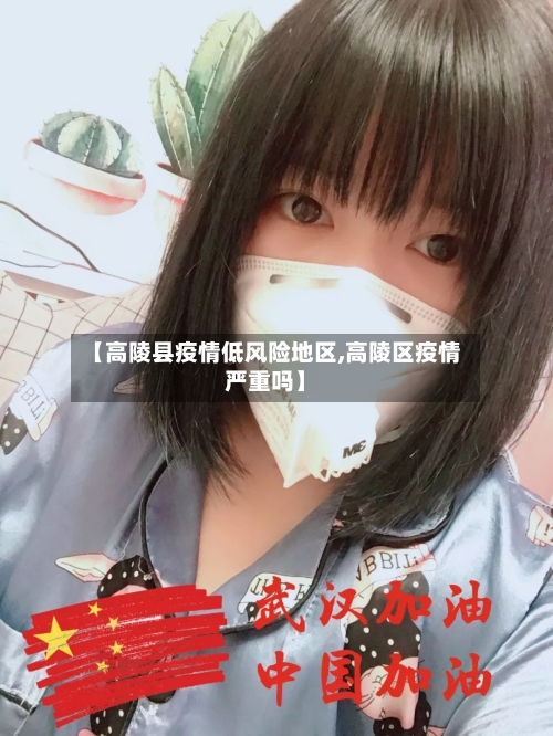 【高陵县疫情低风险地区,高陵区疫情严重吗】-第2张图片