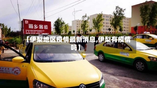 【伊梨地区疫情最新消息,伊梨有疫情吗】-第3张图片